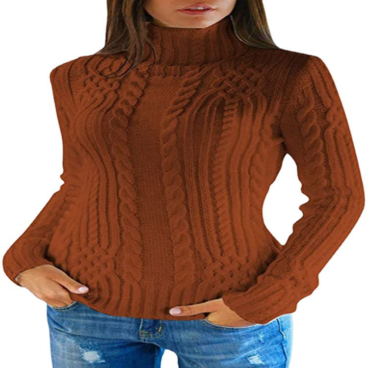 Women's Pretty Turtleneck Fashion Slim Fit Sweaters