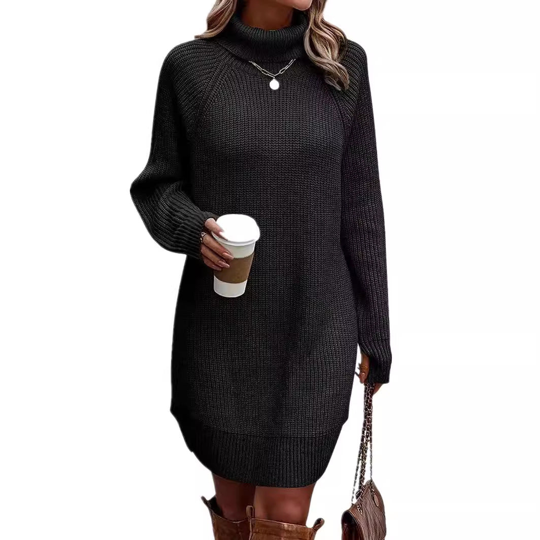 Women's Fashionable With Pullover High Collar Dress Knitwear