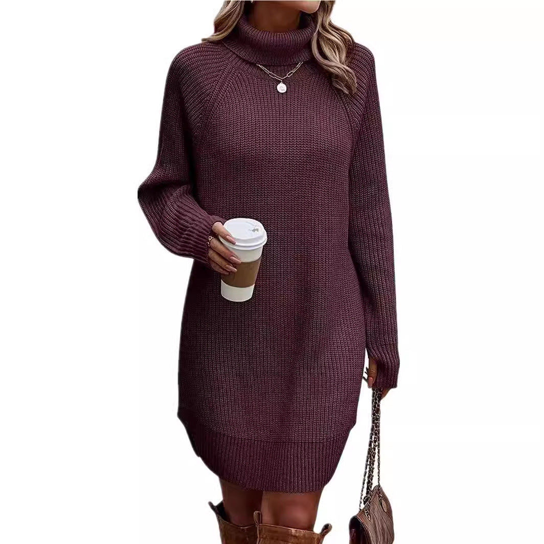 Women's Fashionable With Pullover High Collar Dress Knitwear