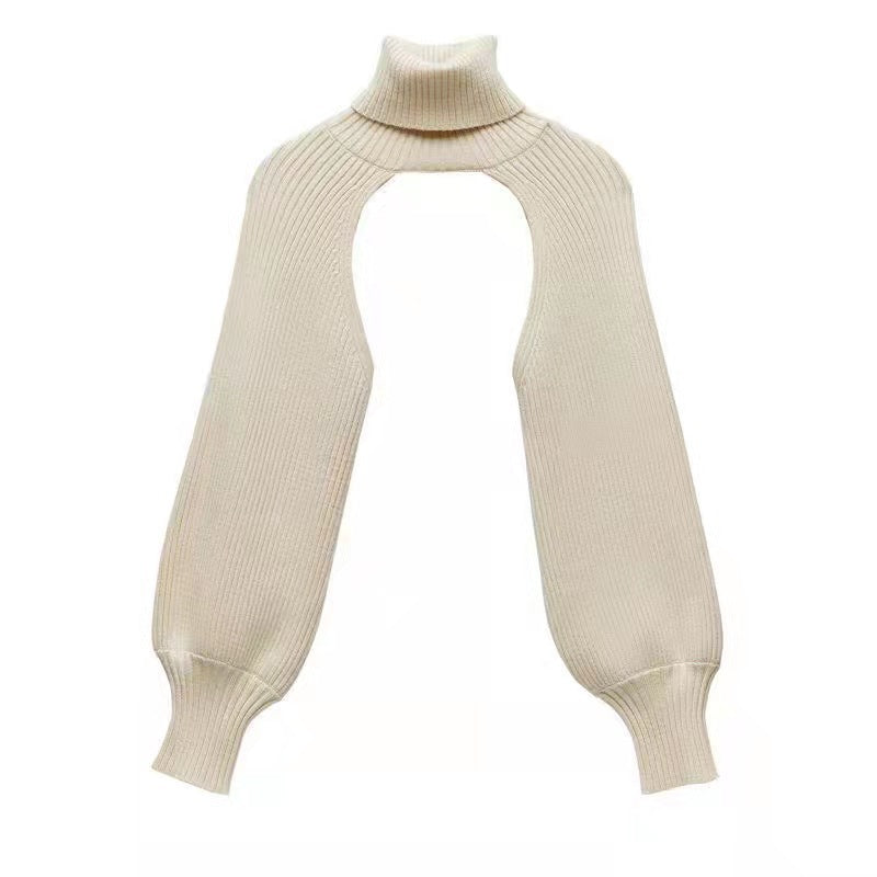 Women's Lantern Sleeve Turtleneck Woolen Oversleeve Solid Sweaters